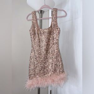 Windsor Pink Feather Dress Size M